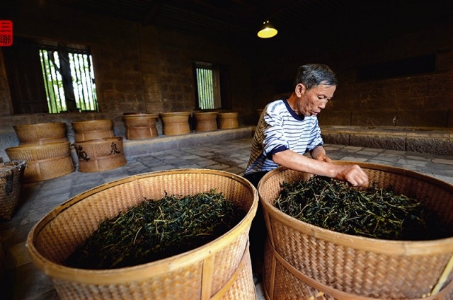 武夷茶岩中的岩骨花香