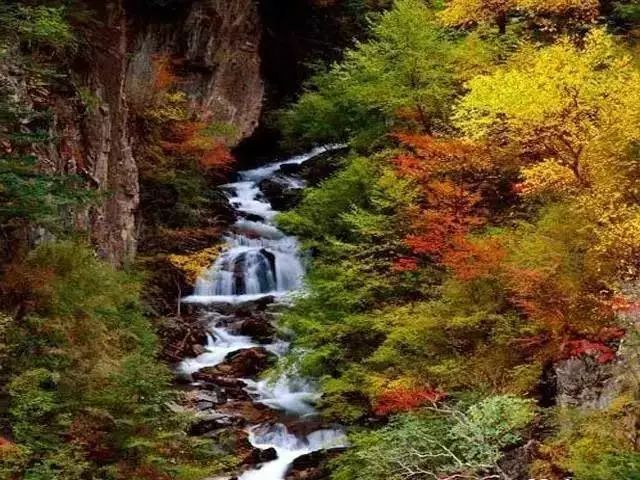 玉雷路—天台山(129公里,2小时) 位于成都市崇州市三郎镇的九龙沟景区