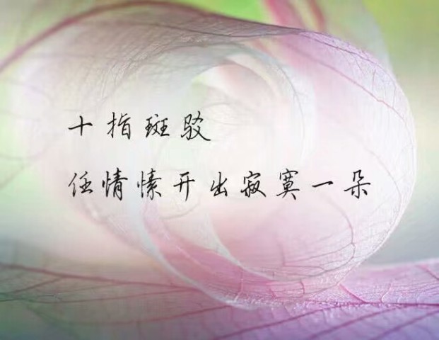 适合发说说的句子,读到心酸!