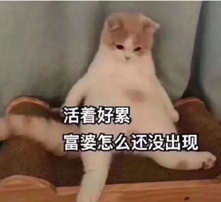 活着好累,富婆怎么还没出现