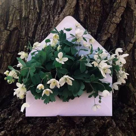 最美情书:我不能给你全世界,我的全世界给你