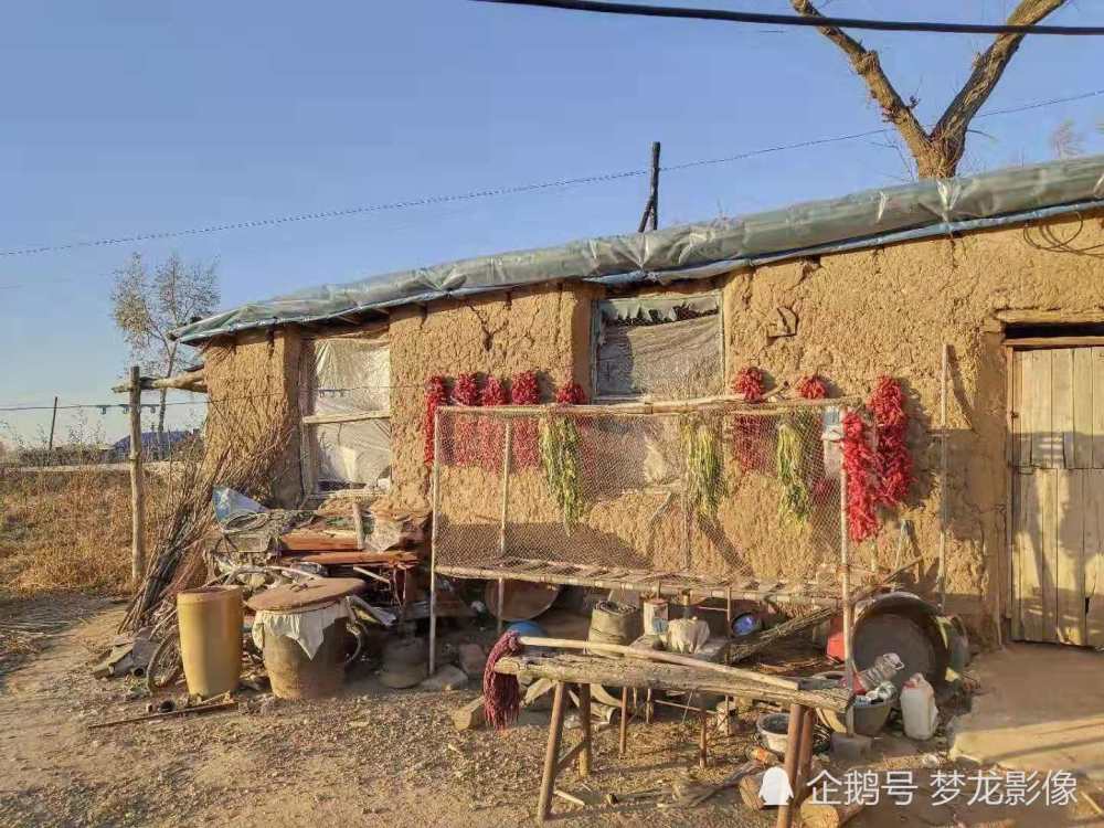 东北泥草房里走出美女学霸 父亲借钱种大米誓