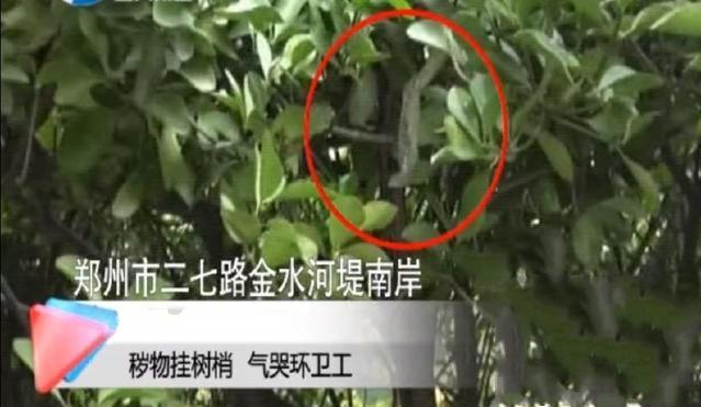 90后情侣小树林"打野战",事后"避孕套"满树挂!