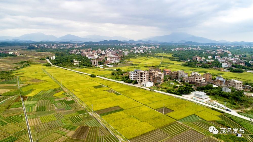 化州市人口有多少_化州市第一中学图片