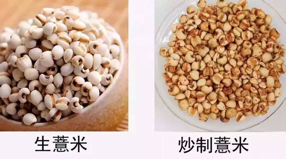 霍思燕的红豆薏米水,喝一口就会瘦