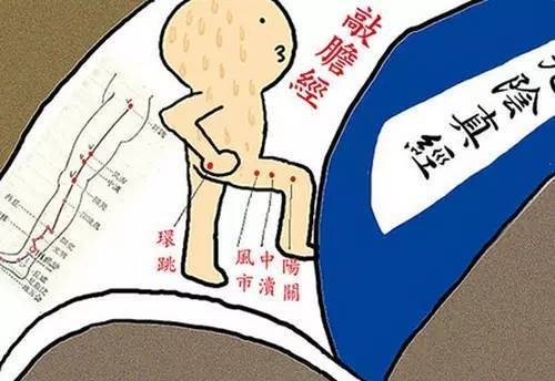 常敲胆经助减肥