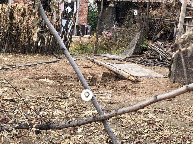 辽阳柳河子镇兄弟俩发生争执 哥哥不幸身亡