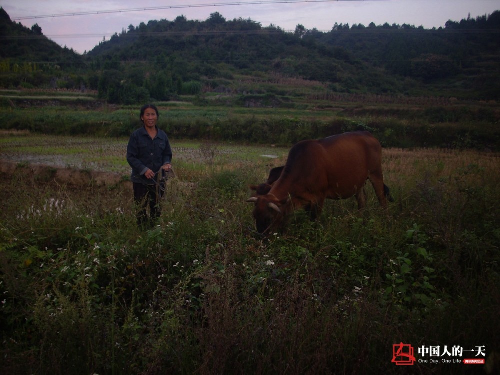 这些鲜活的乡村生活场景,是留守儿童和农村妇女拍下的