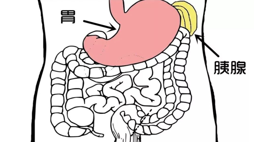 1,左上腹:往往是急性肠胃炎