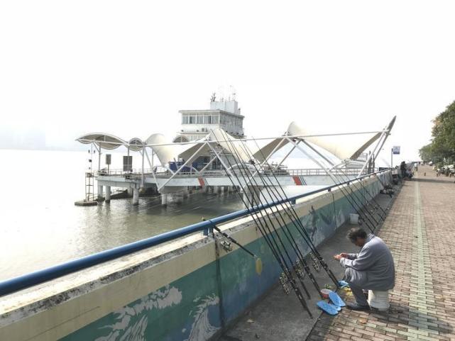 有人在钱塘江一天能钓200斤鱼? 钓友:泛滥只