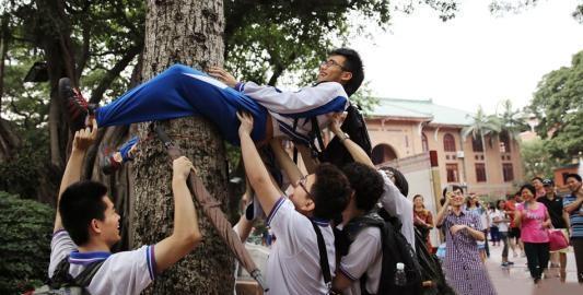 喜欢取笑树疗者,可能他们脑袋里经常把树疗和"阿鲁巴(磨柱"联系起来