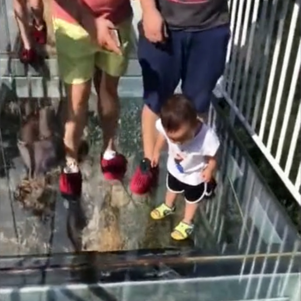 小宝宝走玻璃栈道,到一半才想起来,接下来的举