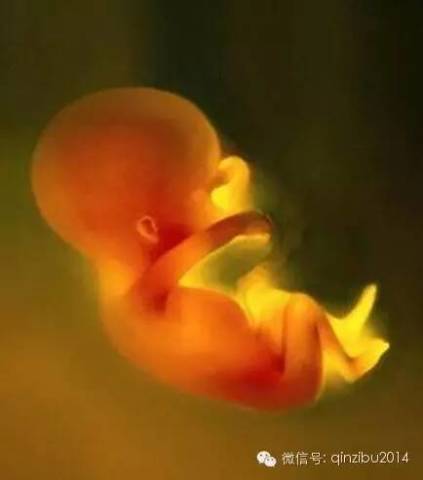 准妈妈必读:胎儿宫内缺氧的几个信号