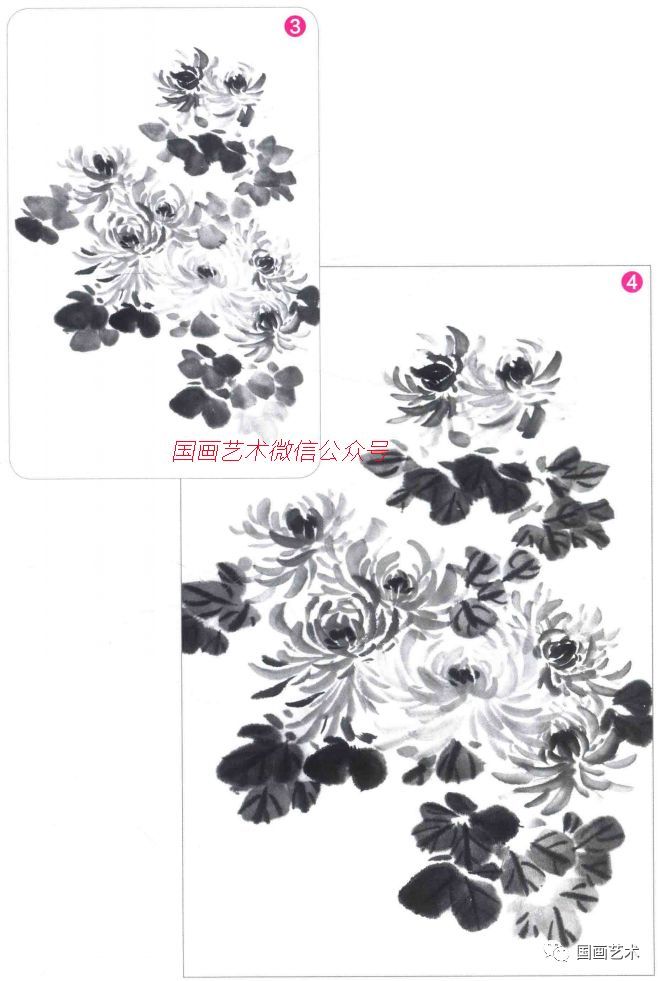 图文教程:写意菊花画法步骤示范