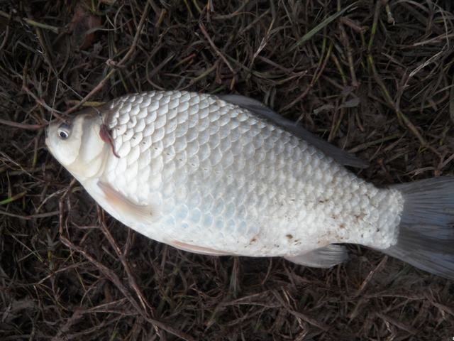 640