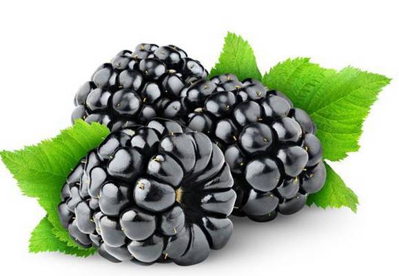 肾虚怎么办 秋季吃4种黑色食物最补肾