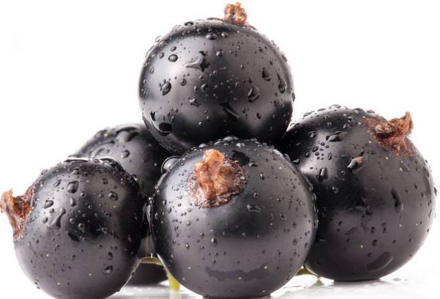 肾虚怎么办 秋季吃4种黑色食物最补肾