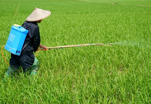 一亩地水稻灌溉费用在60元左右.