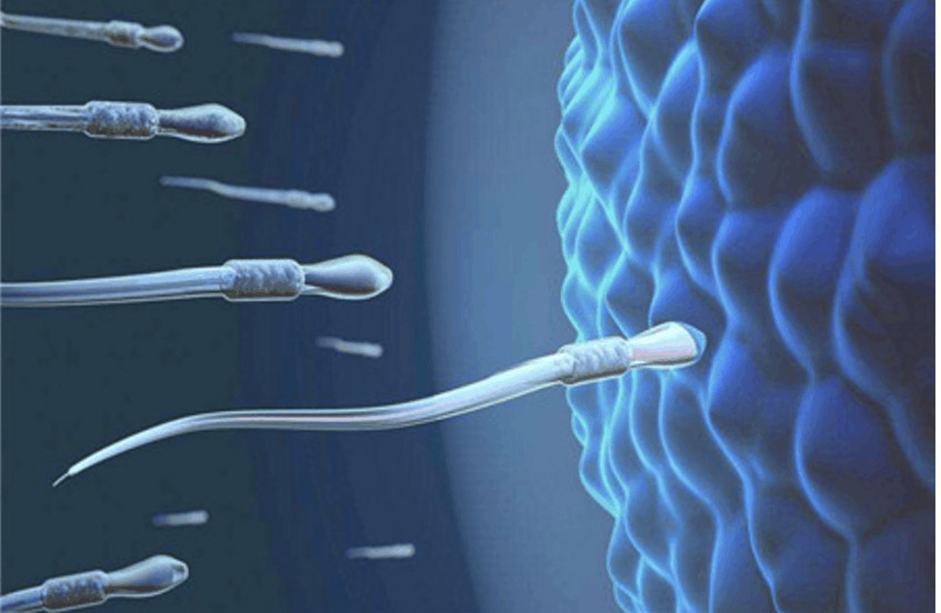 8个本科生找工作很辛酸的专业,敢报考的都是真