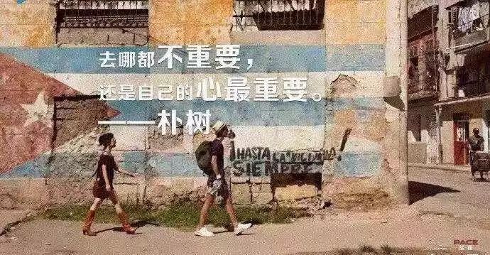 朴树的综艺真人秀，果然没有秀