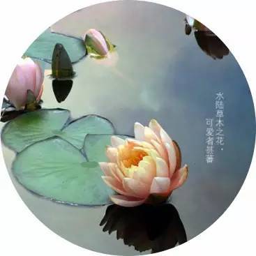 一生交一个这样的朋友,足矣!