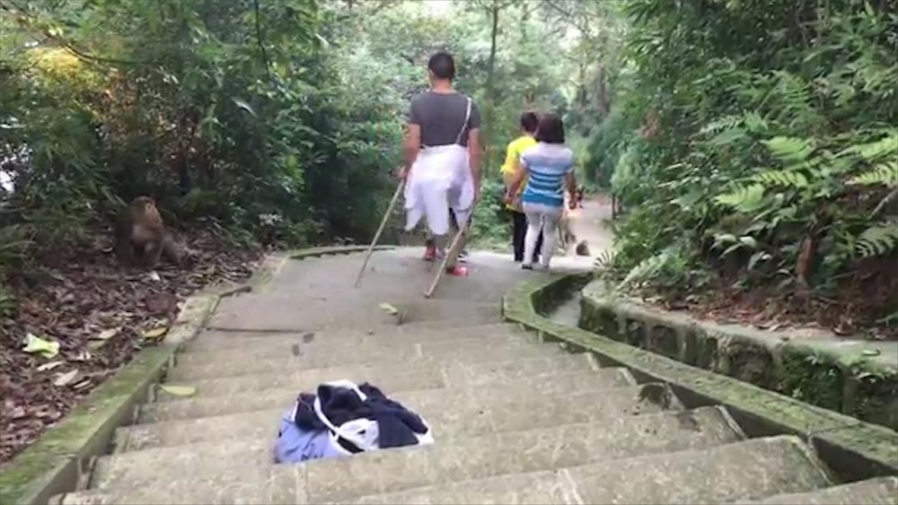 峨眉山上的猴子经常拦路打劫,却最怕这样东西