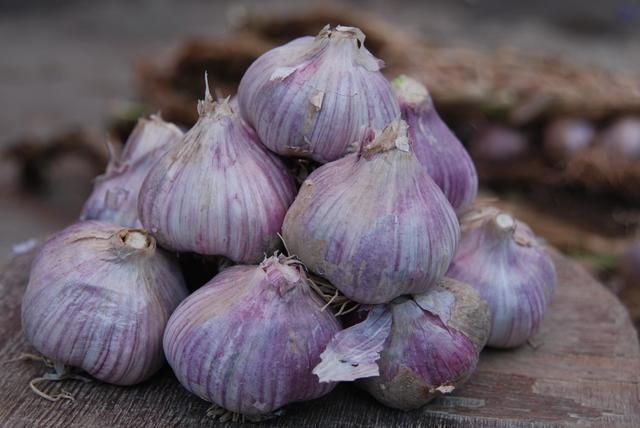 幽门螺旋杆菌杀不净,容易导致胃癌;吃什么能把