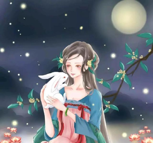 强推有肉有情节有大爱的古言小说,女主娇美,男