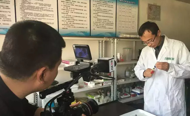 鋸鹿茸1