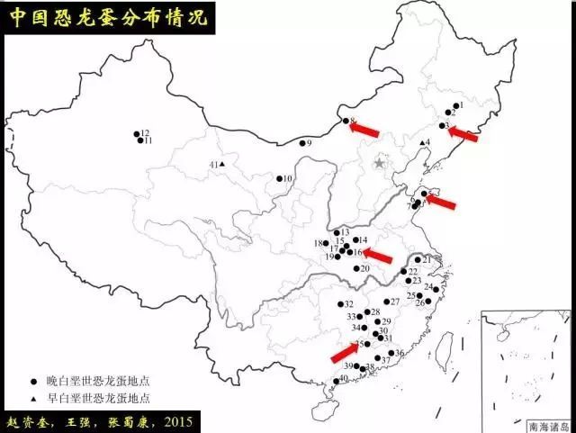 中国的恐龙蛋发现地主要集中于中东部地区,如山东,湖北,河南,浙江