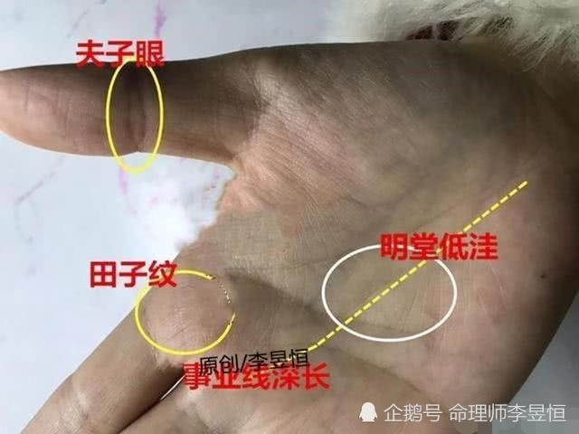 手相:夫子眼,田字纹,玉柱纹同现,一生钱财不断,事有所