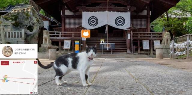 猫眼看世界:来试试日本的猫眼街景地图吧!