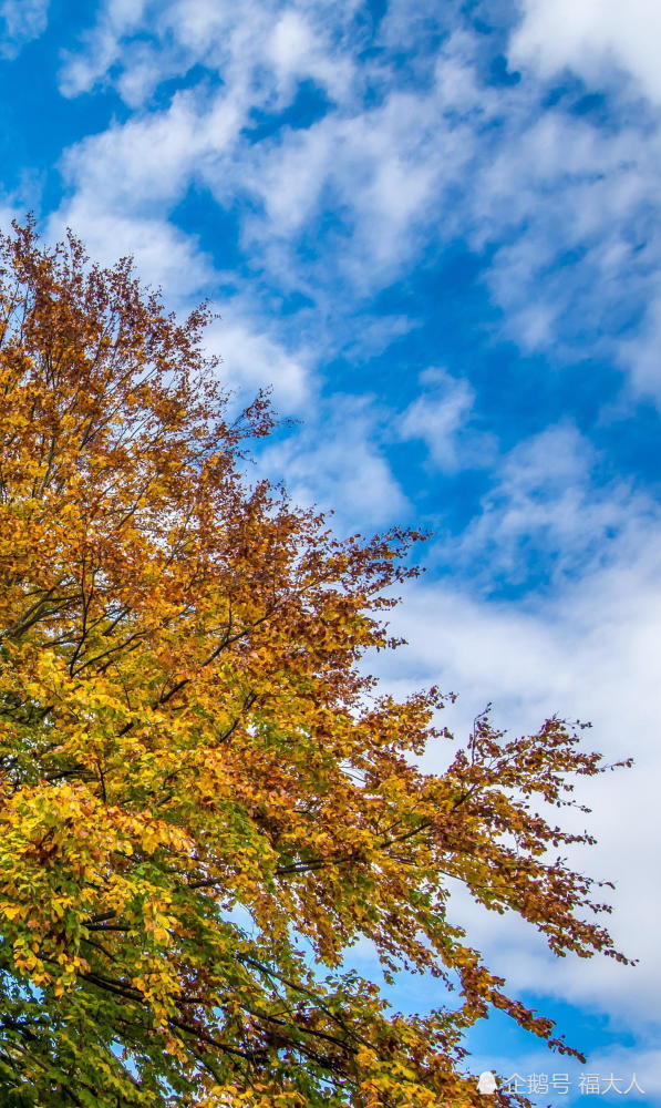 这里号称欧版九寨沟,中国游客趋之若鹜,秋色