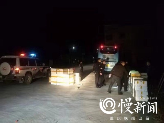 大客车隧道抛锚不报警 原来乘客和上万只青蛙数百条蛇同车