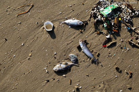 中国游客不再去韩国旅游,韩国沙滩垃圾依旧那