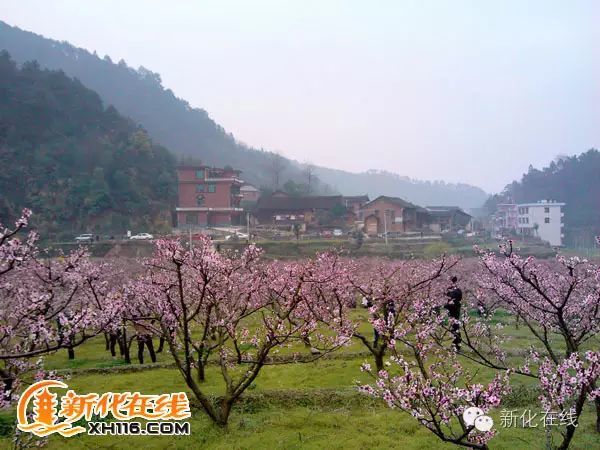 槎溪镇位于湖南省新化县西南部,距县城20公里,与隆回县的鸭田镇,罗洪