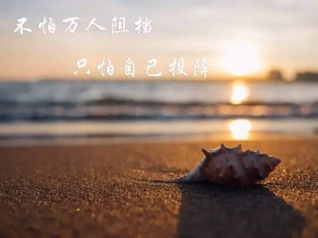 人生感悟19句:励志激励人心经典语录
