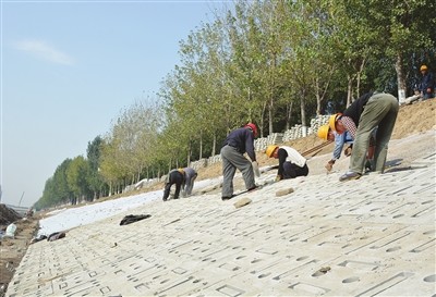 西青区程村排水河精武段治理项目加紧建设