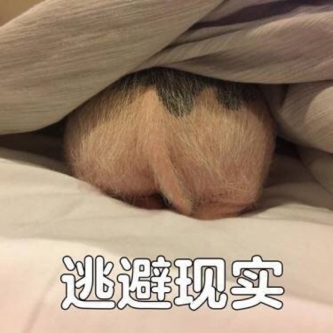 640