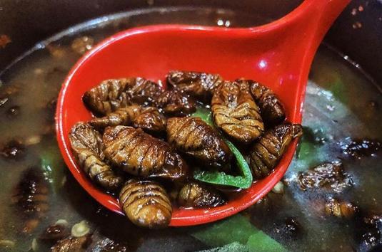 亚洲昆虫美食大盘点:蟑螂狼蛛水虫成美味佳肴，口味独特回味无穷