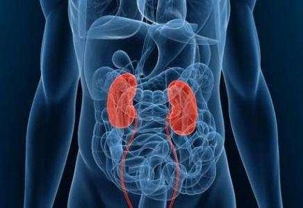 肾功能下降身体会出现4种症状,一个都不能大意