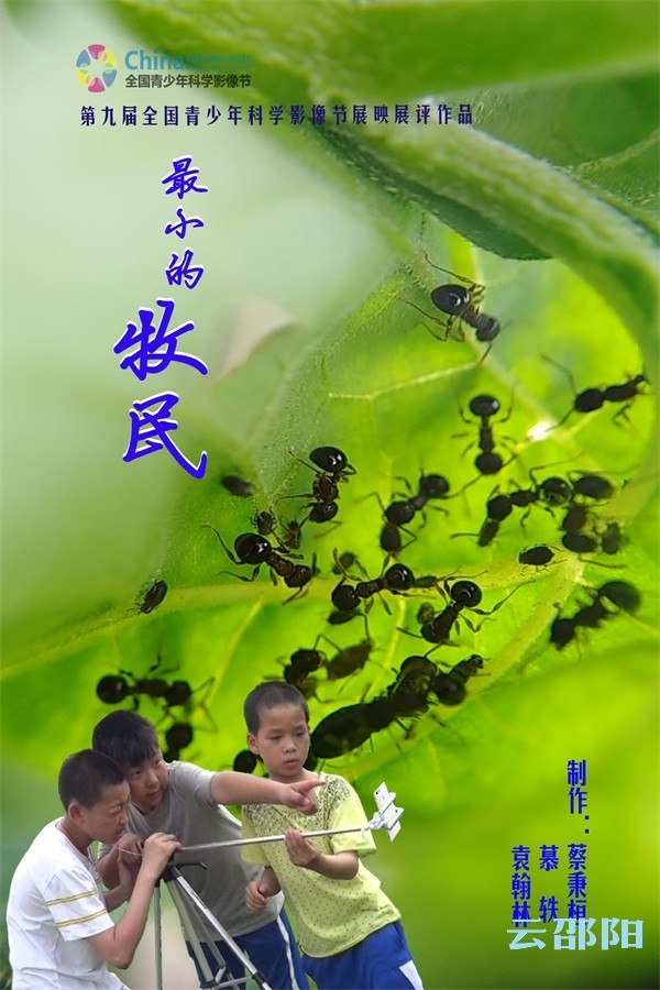 第九届全国青少年科学影像节落幕 邵阳这件作