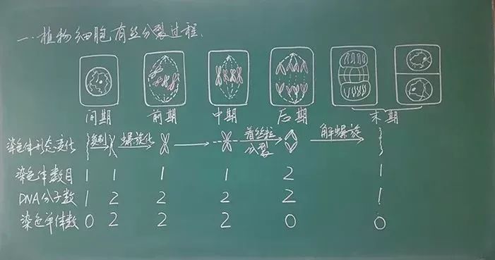 春节到，看看各科老师的高颜值板书，心情变得更美啦