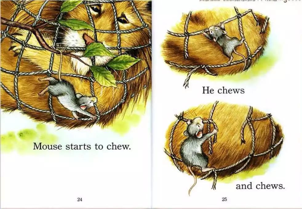 【有声绘本故事】《the lion and the mouse》狮子和老鼠