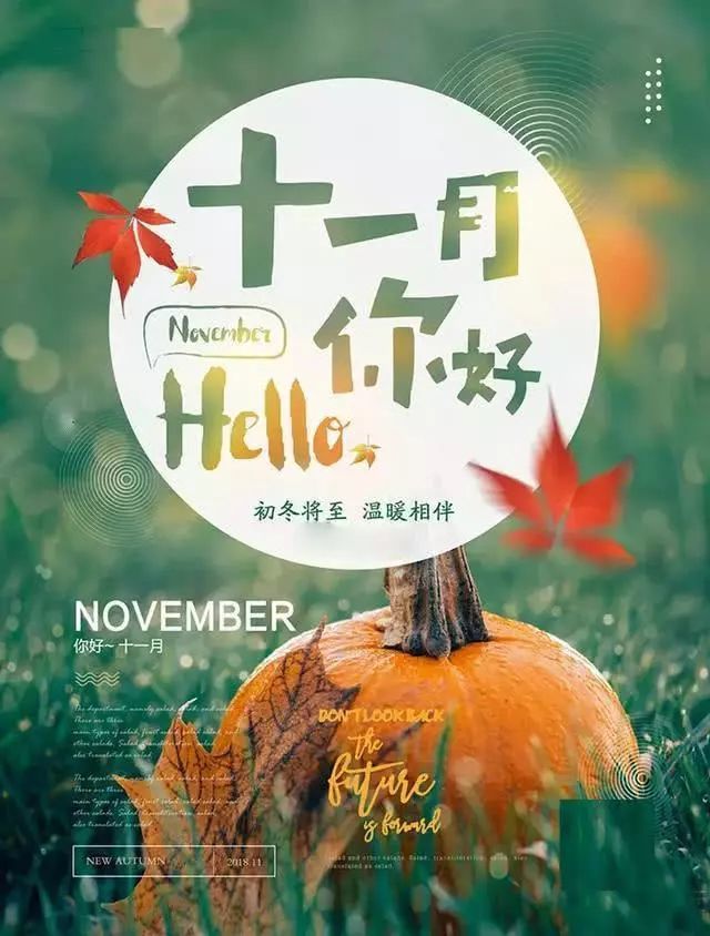 十一月,早安!你好,11月!