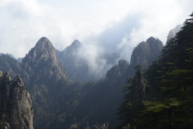 三分拍,七分调到底对不对_订阅_腾讯网