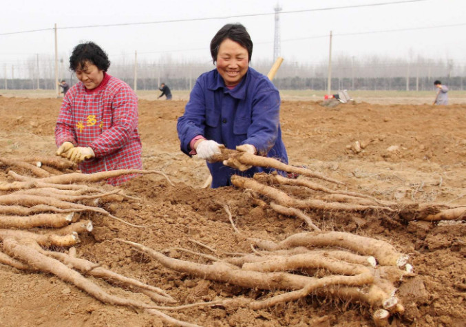 脚底老出汗,以为是肾虚?那是身体发出的疾病