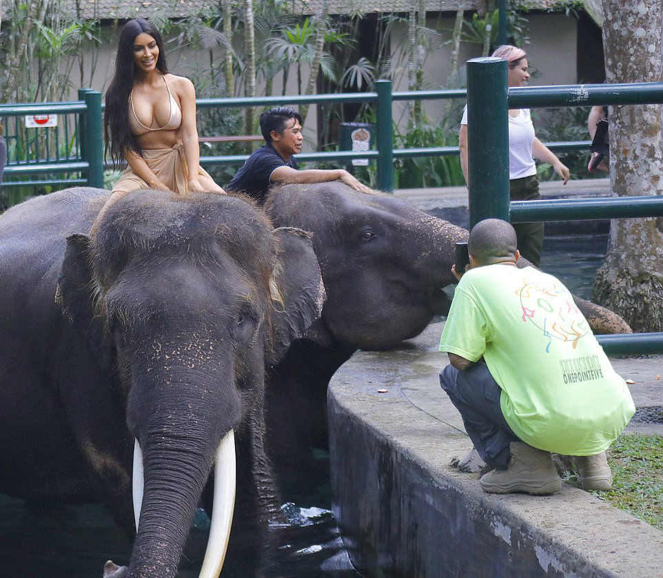 金卡戴珊公布了巴厘岛骑大象的照片，引起了动物保护组织强烈谴责