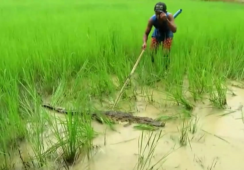 大水淹没村庄,农村少年自制弓箭捕鱼,却遭遇食