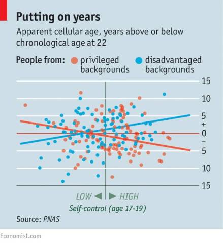 自制力之弊 | 社会流动性和表观遗传学下的自制